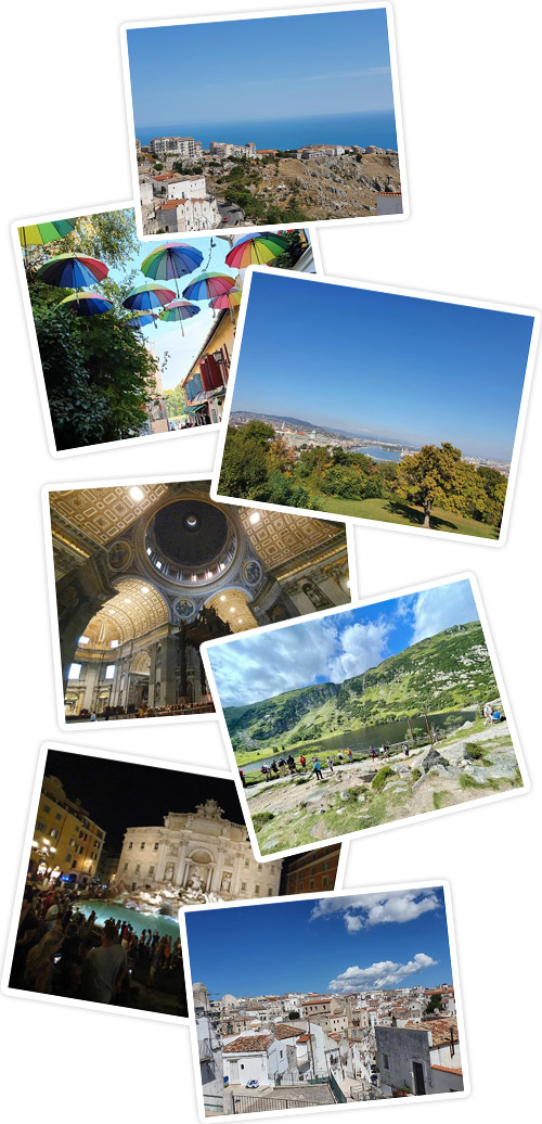 Organizacja wycieczek